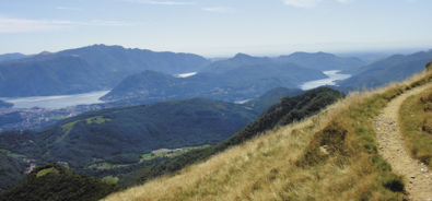 Tamaro - Lema